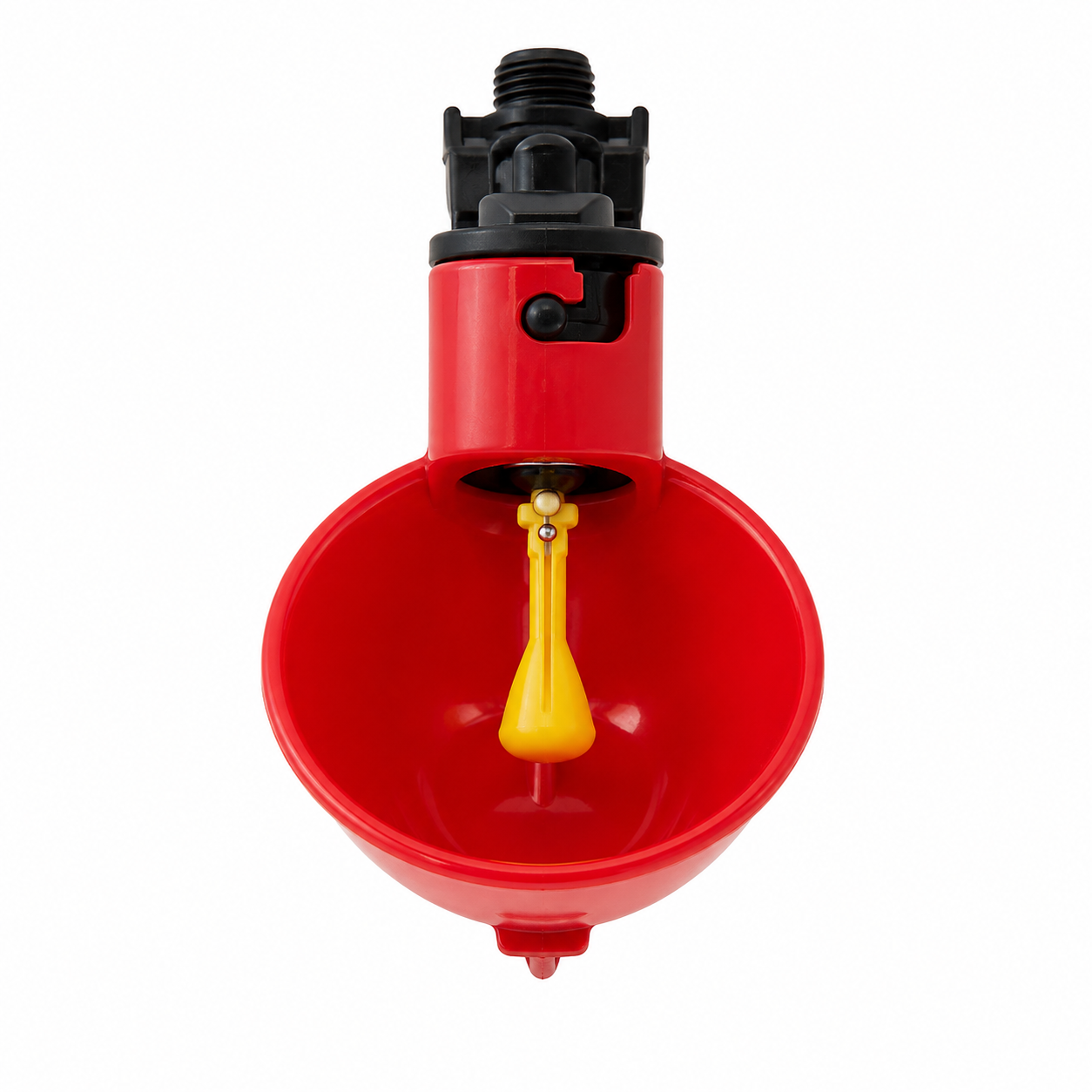 Comederos automáticos para pollos