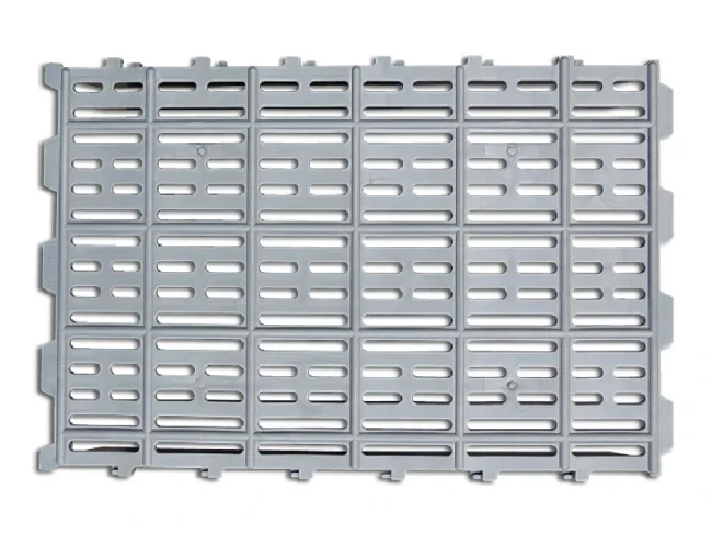 Pisos de lechón y madre